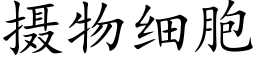 摄物细胞 (楷体矢量字库)