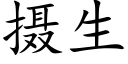 攝生 (楷體矢量字庫)