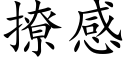 撩感 (楷体矢量字库)