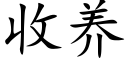 收養 (楷體矢量字庫)