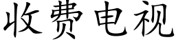 收费电视 (楷体矢量字库)