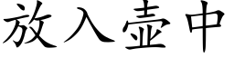 放入壶中 (楷体矢量字库)