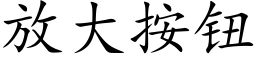 放大按鈕 (楷體矢量字庫)