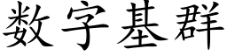 数字基群 (楷体矢量字库)