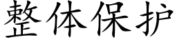 整体保护 (楷体矢量字库)