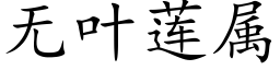 无叶莲属 (楷体矢量字库)