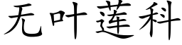 无叶莲科 (楷体矢量字库)