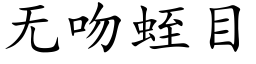 無吻蛭目 (楷體矢量字庫)