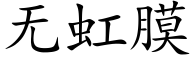 无虹膜 (楷体矢量字库)