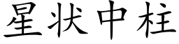 星状中柱 (楷体矢量字库)