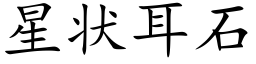 星状耳石 (楷体矢量字库)