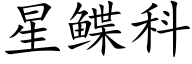 星鲽科 (楷体矢量字库)