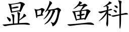 顯吻魚科 (楷體矢量字庫)