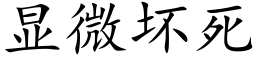 顯微壞死 (楷體矢量字庫)