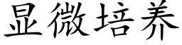 顯微培養 (楷體矢量字庫)