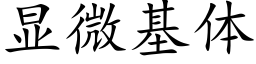 顯微基體 (楷體矢量字庫)