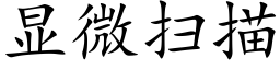 顯微掃描 (楷體矢量字庫)