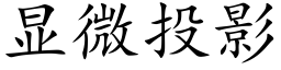 顯微投影 (楷體矢量字庫)