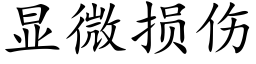 顯微損傷 (楷體矢量字庫)