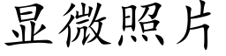 顯微照片 (楷體矢量字庫)