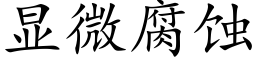 顯微腐蝕 (楷體矢量字庫)