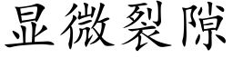 顯微裂隙 (楷體矢量字庫)