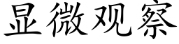 显微观察 (楷体矢量字库)