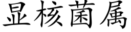 顯核菌屬 (楷體矢量字庫)