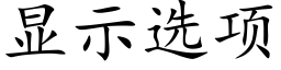 顯示選項 (楷體矢量字庫)