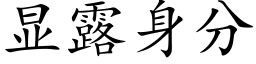 顯露身分 (楷體矢量字庫)