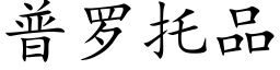 普罗托品 (楷体矢量字库)