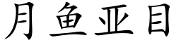 月魚亞目 (楷體矢量字庫)