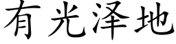 有光澤地 (楷體矢量字庫)