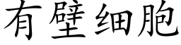 有壁细胞 (楷体矢量字库)