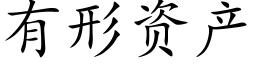 有形资产 (楷体矢量字库)