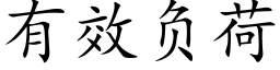 有效负荷 (楷体矢量字库)