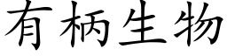 有柄生物 (楷体矢量字库)