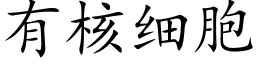 有核細胞 (楷體矢量字庫)