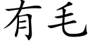 有毛 (楷体矢量字库)