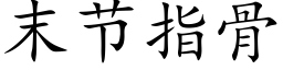 末節指骨 (楷體矢量字庫)