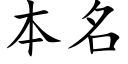 本名 (楷體矢量字庫)