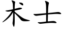 术士 (楷体矢量字库)