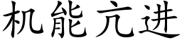 机能亢进 (楷体矢量字库)