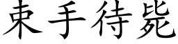 束手待毙 (楷体矢量字库)