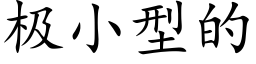 极小型的 (楷体矢量字库)