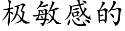 極敏感的 (楷體矢量字庫)