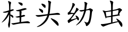 柱头幼虫 (楷体矢量字库)