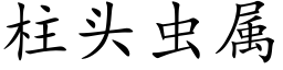 柱头虫属 (楷体矢量字库)