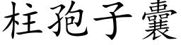 柱孢子囊 (楷体矢量字库)