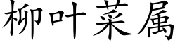 柳叶菜属 (楷体矢量字库)